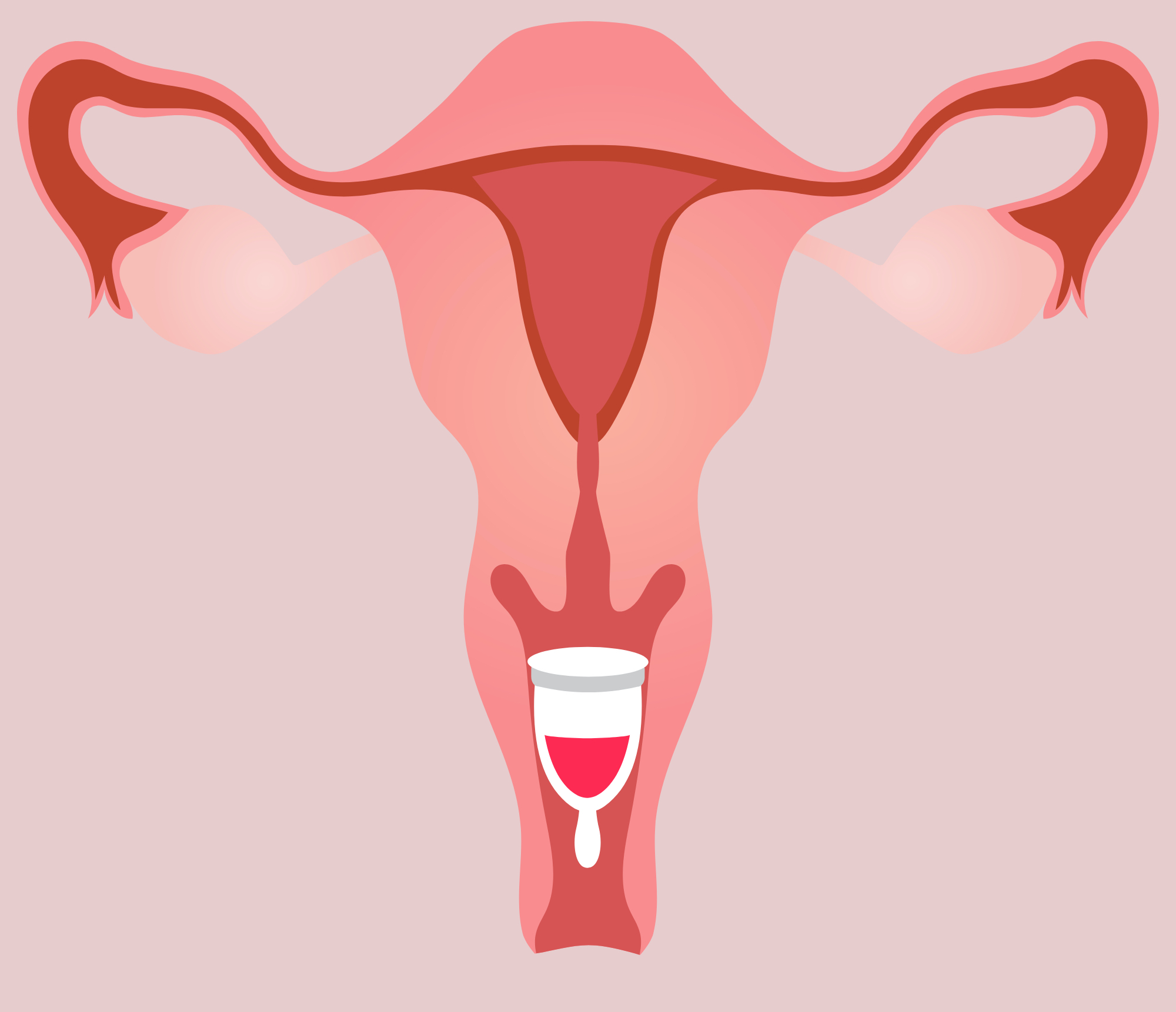 period cup inside vaginal canal